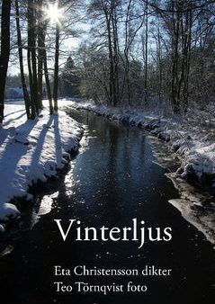 Vinterljus For Sale